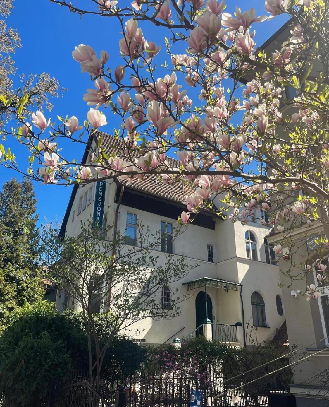 Villa Irena Sopoty Exteriér fotografie